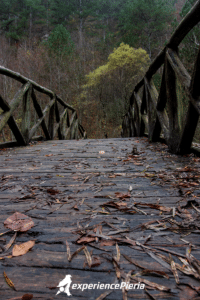 hike Mount Olympus wooden bridge in fall