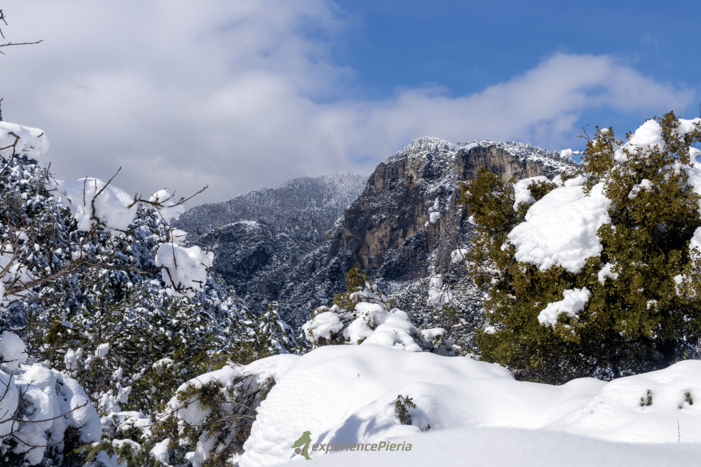 Mount Olympus Covered with snow