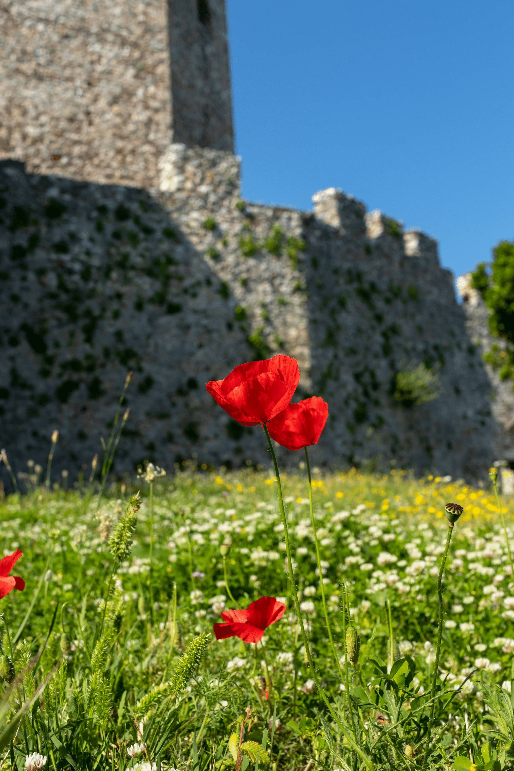 Castle of Platamonas Spring
