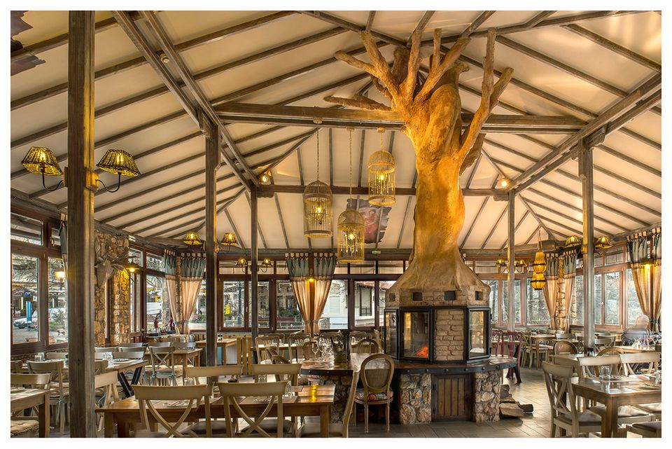 Erato Wine Restaurant, Litochoro