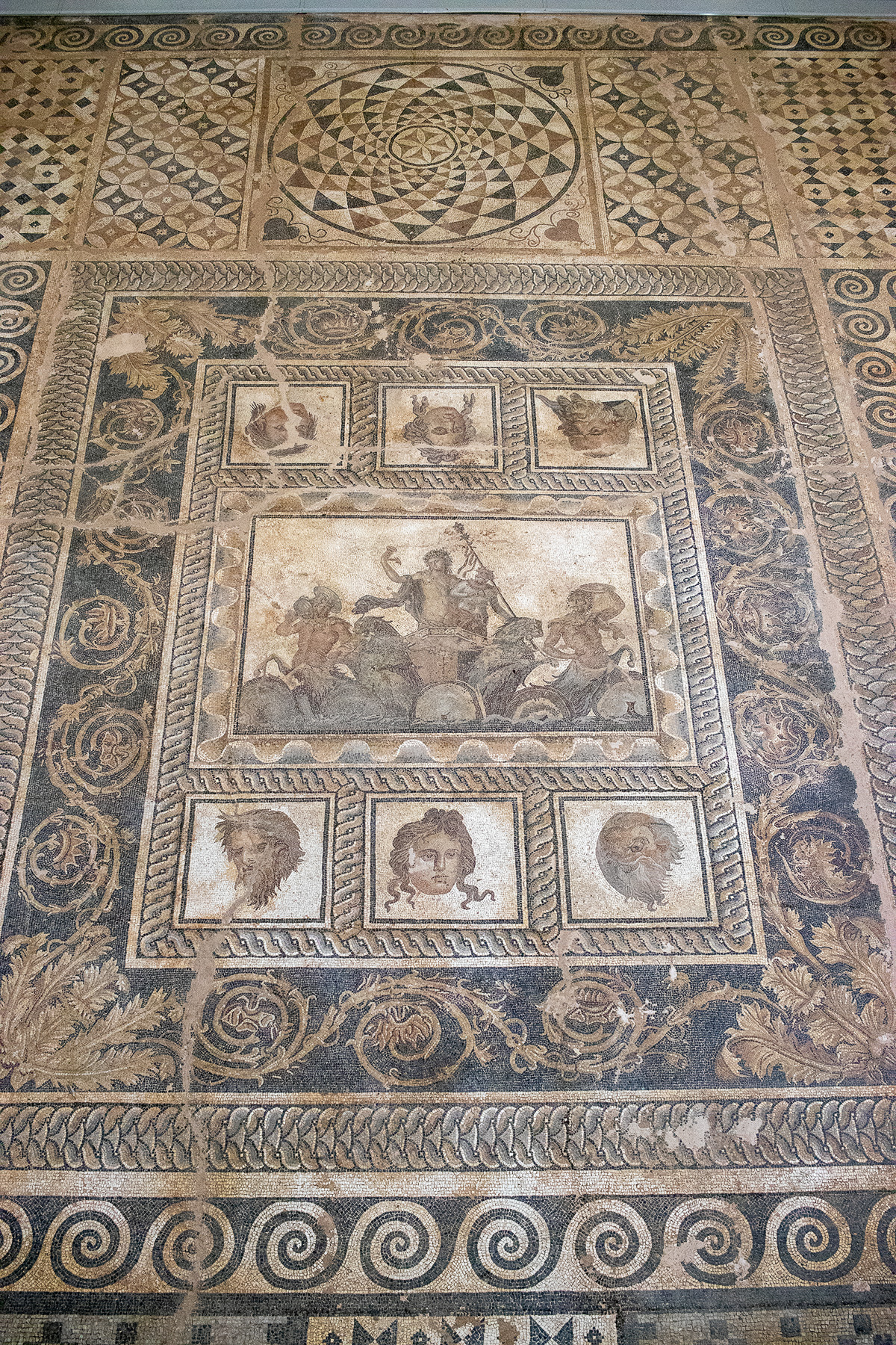 Archaeological Museum of Dion interior view