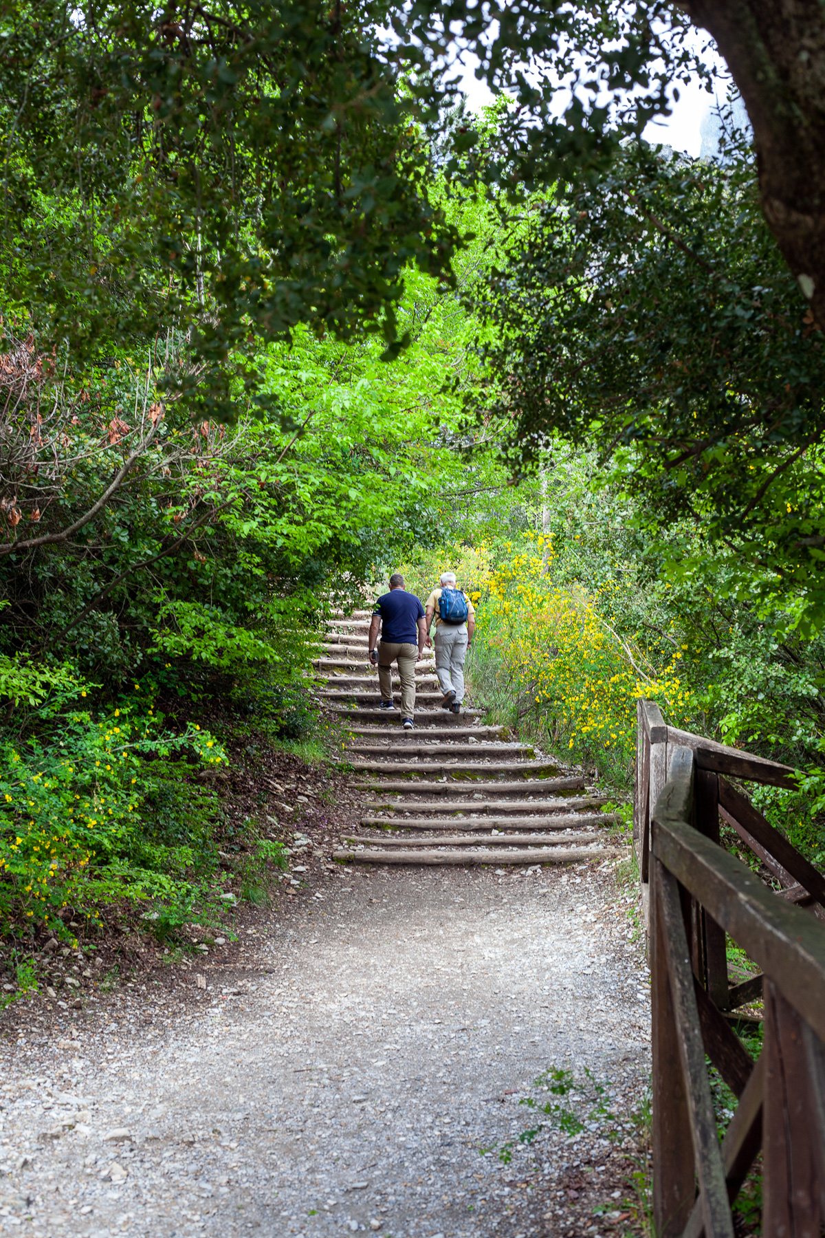 Hiking E4 Mount Olympus, Pieria region