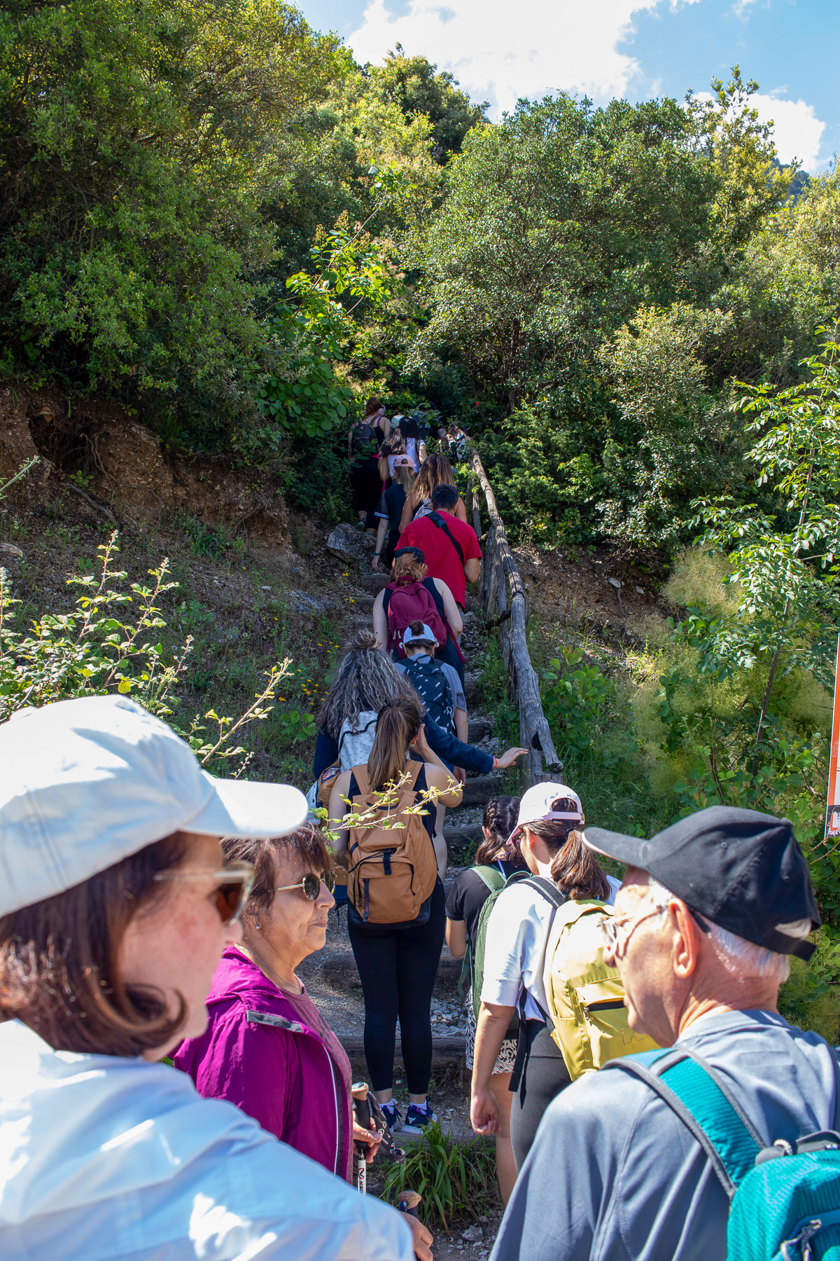 Visitors climbing stairs on the forest path to the waterfalls