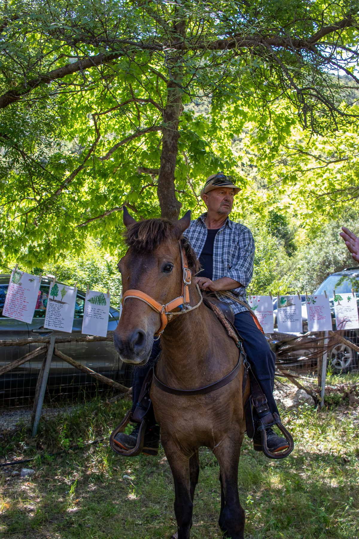 Sarakatsani horse in Agios Konstantinos, traditional nomadic shelter