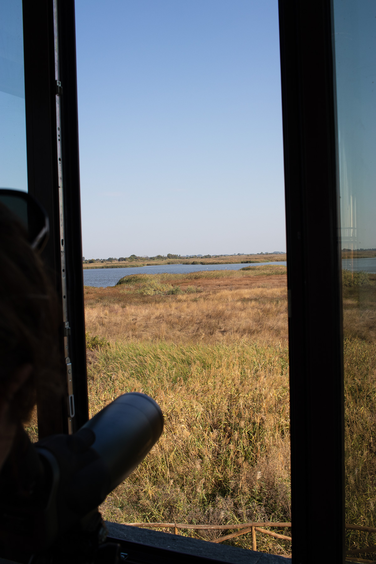 Visitor using telescope to watch birds over the wetland
