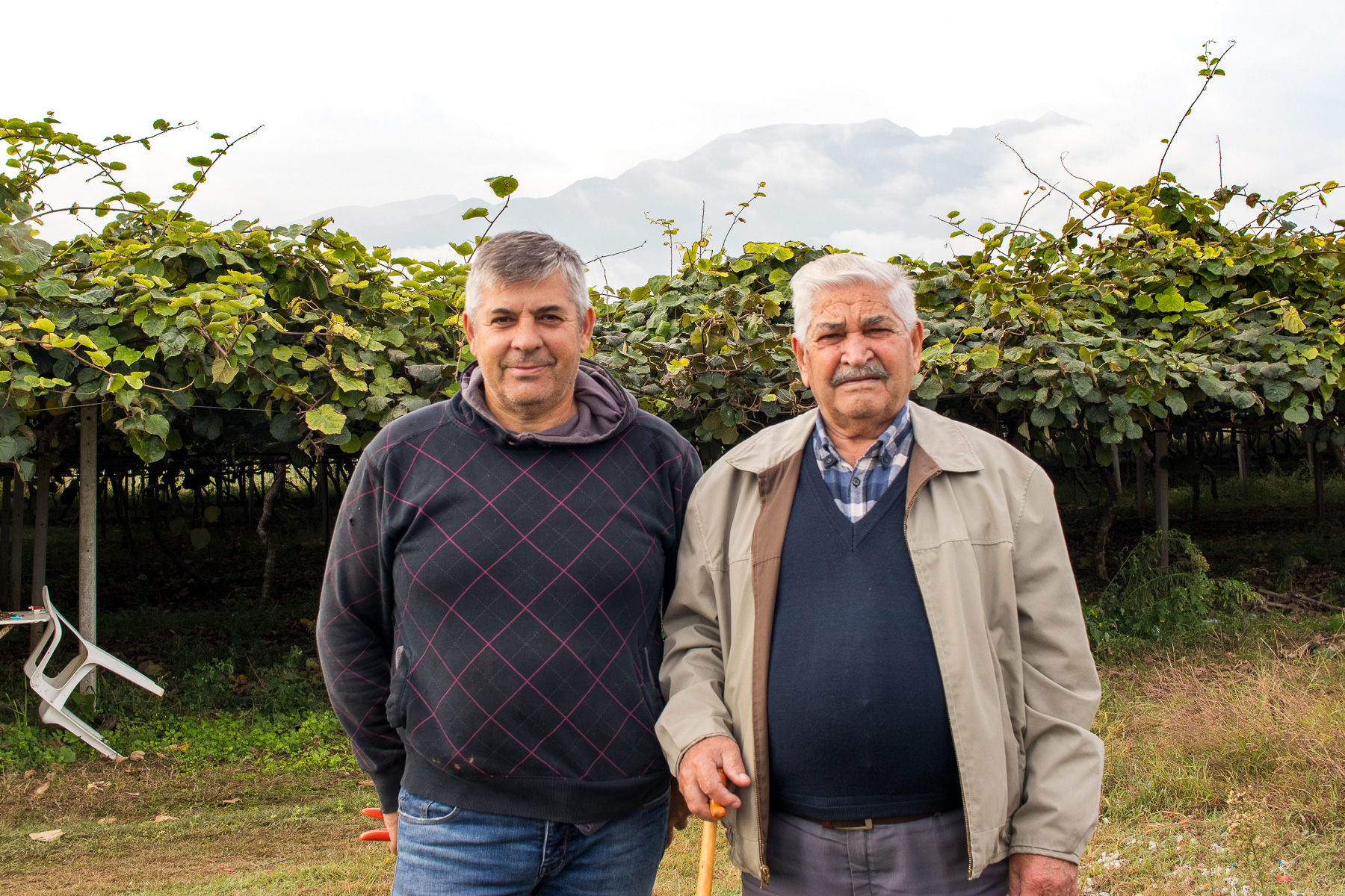 Mr. Christos and his son Giorgos standing together beside the kiwi trees with the majestic peaks of Mount Olympus rising in the background.