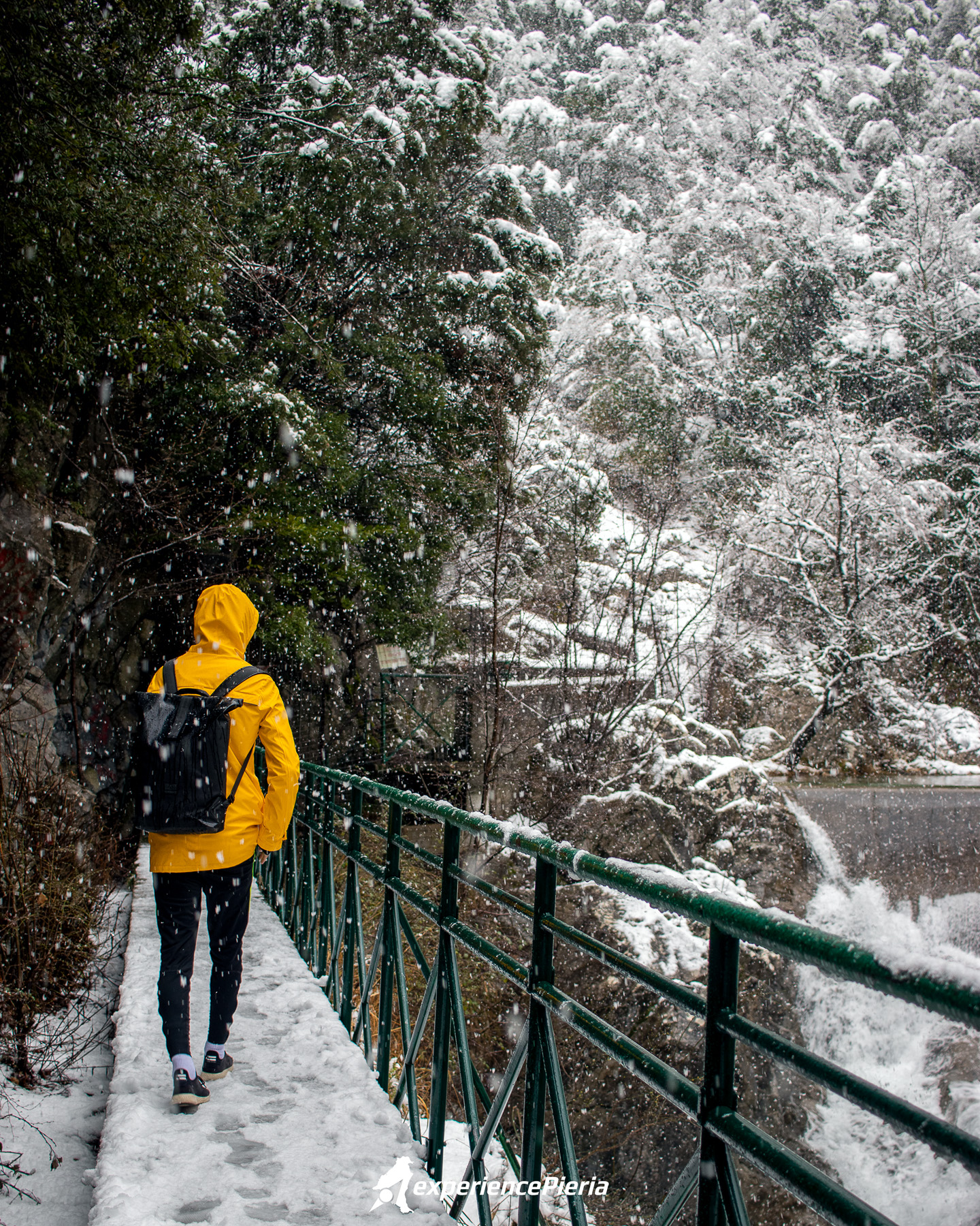 Man walking slowly under the snow, looking at Enipeas waterfall and trees on Mount Olympus