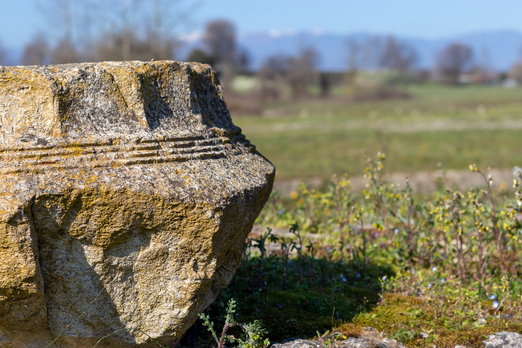 Sanctuary of Zeus Olympios with Mount Olympus in background, Dion