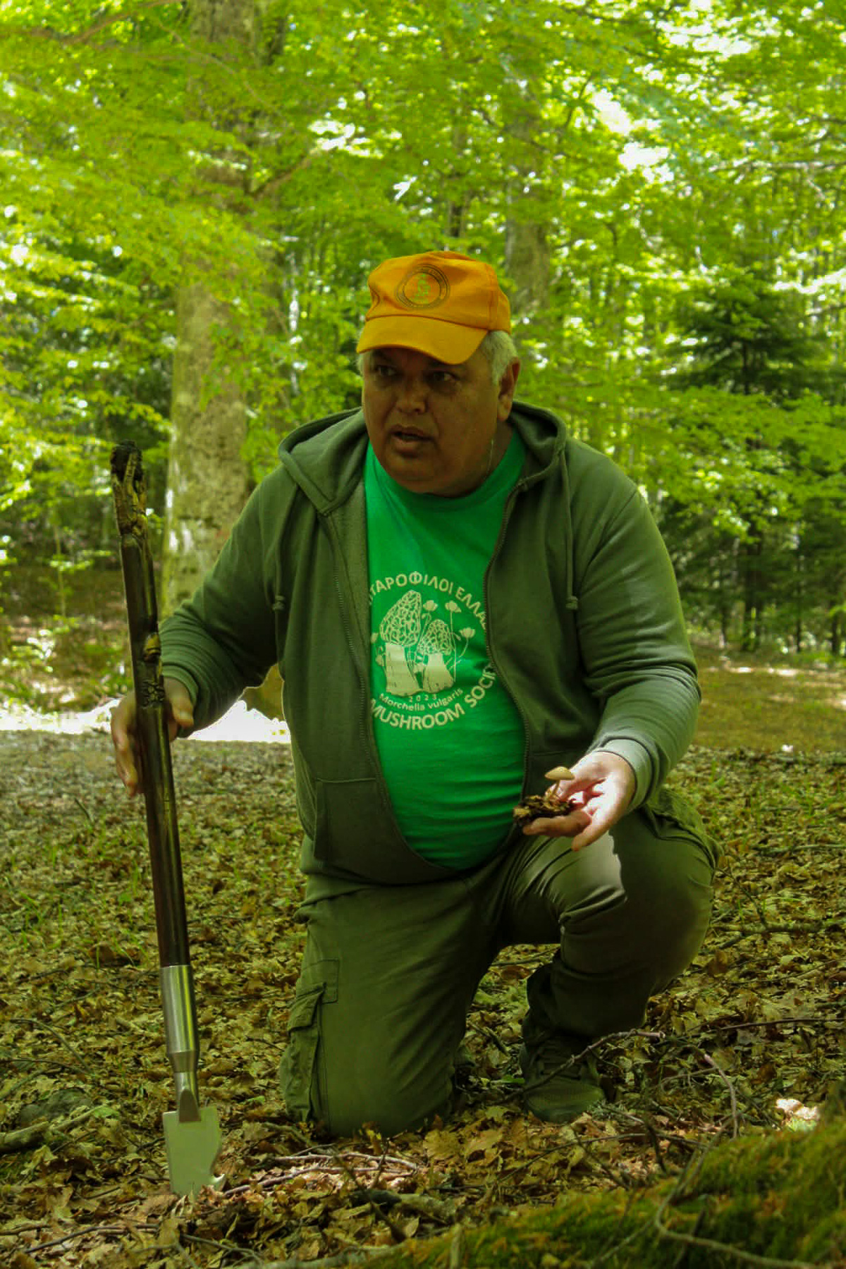 Experienced mushroom experts identifying wild mushrooms during the Mount Olympus festival