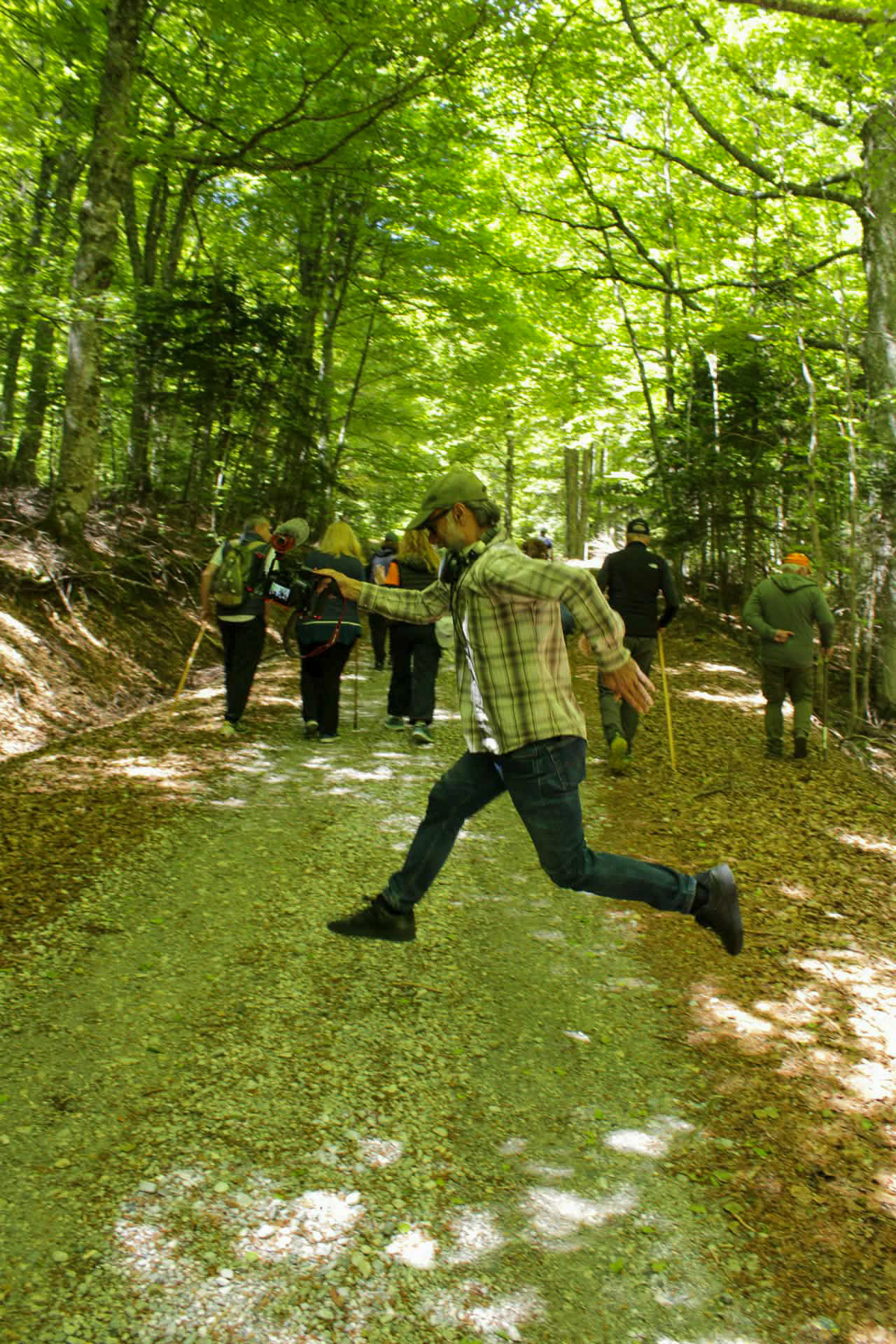 Filming the mushroom foraging experience beneath Mount Olympus