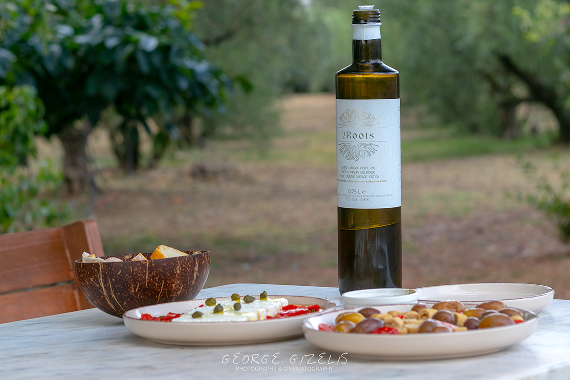Forelia olive grove in Leptokarya, Pieria, Greece