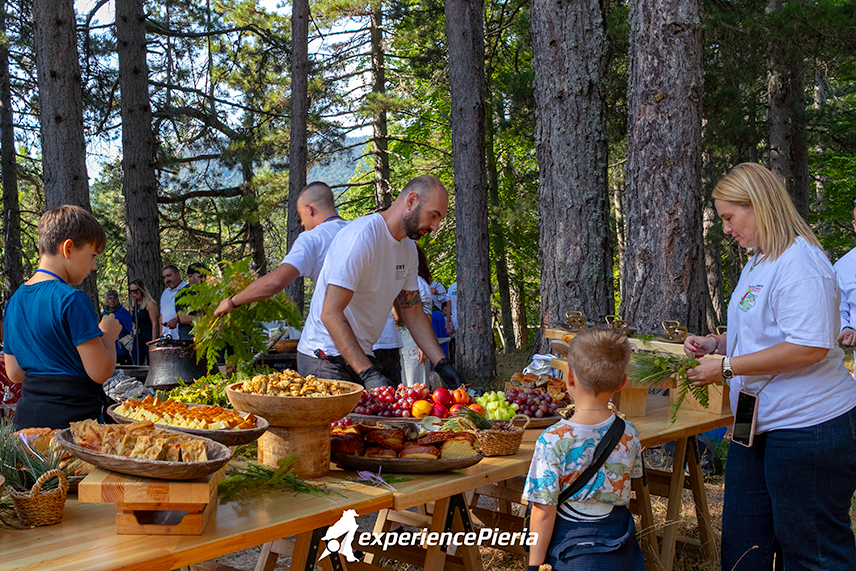 Chefs and volunteers preparing the Pierian Breakfast in the forest of Elatochori