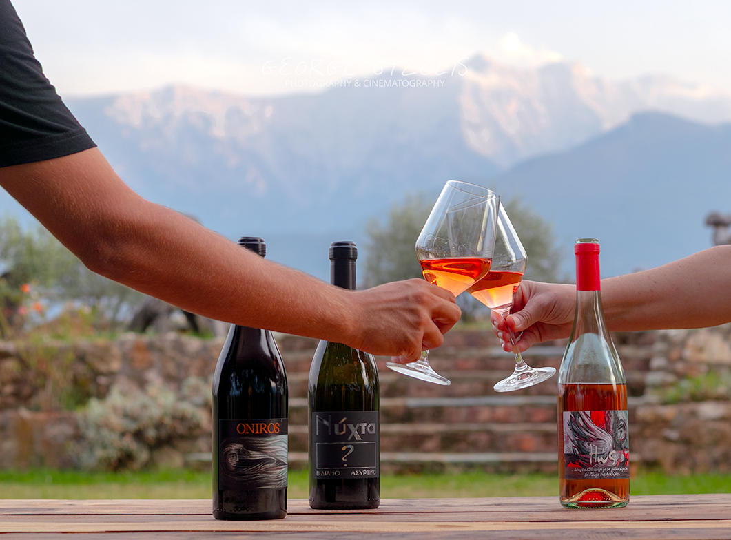 Kourtis Estate vineyard in Rachi, Municipality of Katerini, Pieria, Greece