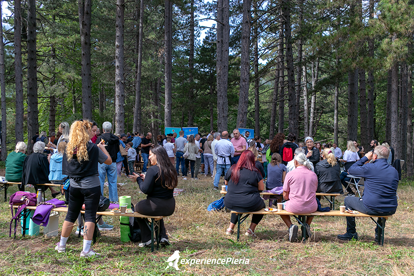 Visitors enjoying the Pierian Breakfast in the forest of Elatochori