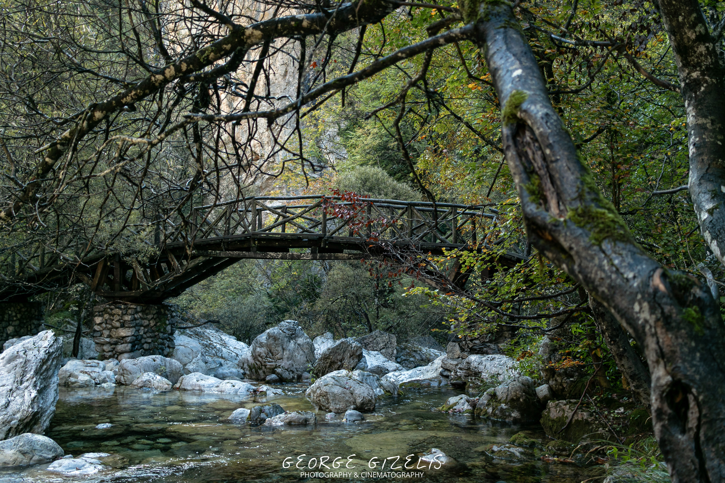 Wooden footbridge along the Enipeas Gorge on Mount Olympus, surrounded by the forest in Pieria, Greece.