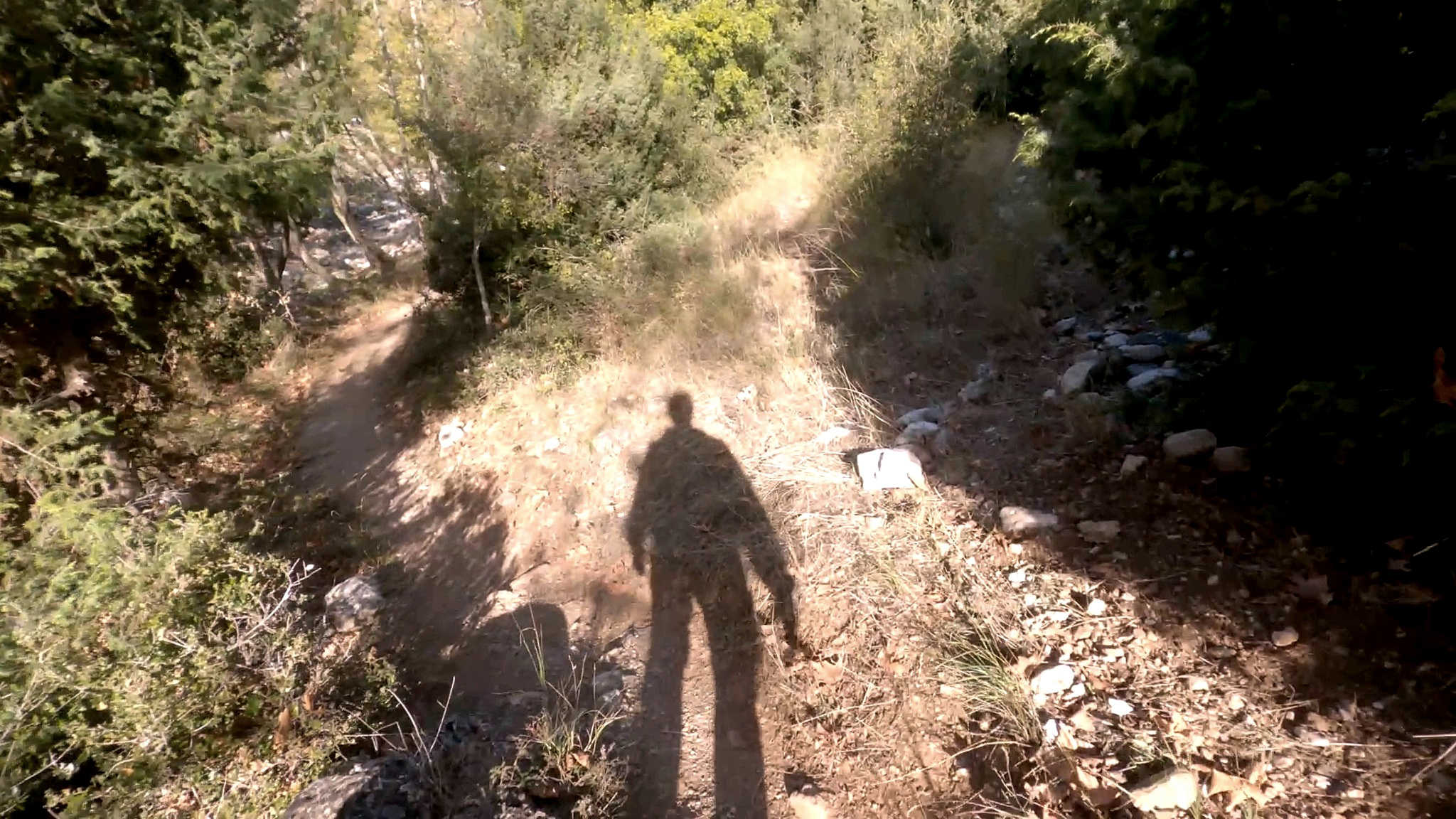 Walking along a forest trail beside the Enipeas near Litochoro