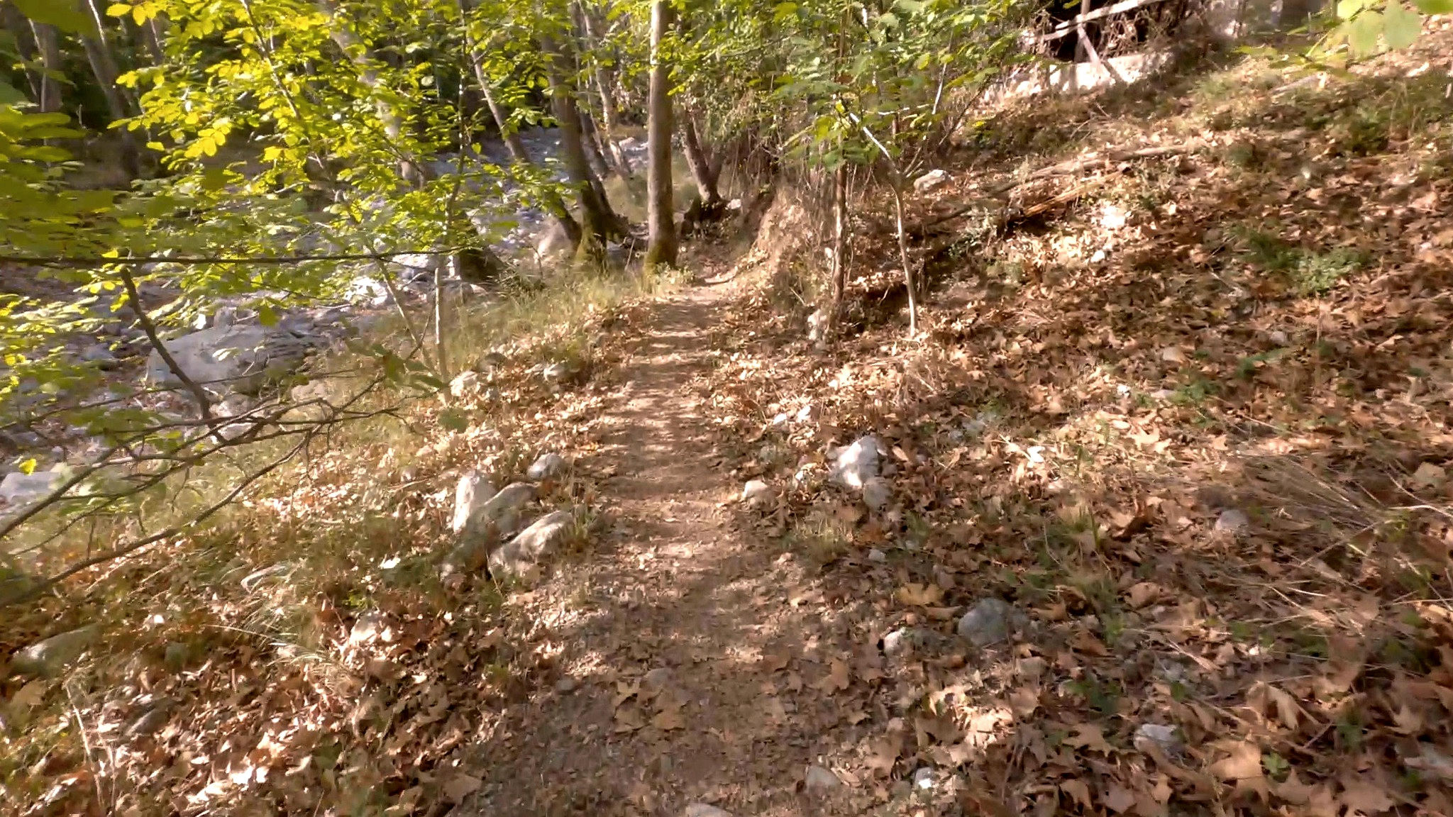 Forest trail along the Enipeas below Litochoro