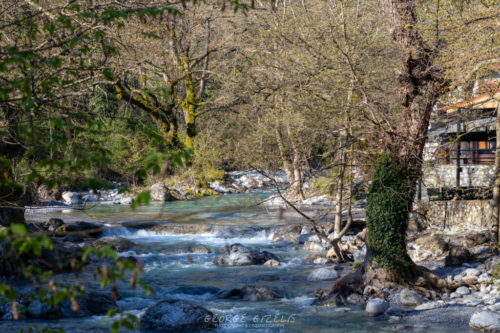 Enipeas River flowing through the forest below Litochoro, Mount Olympus