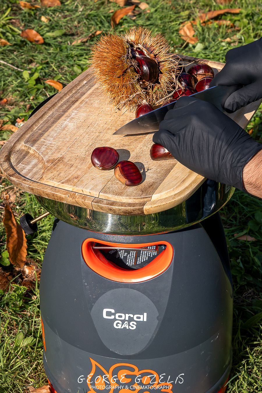Fresh chestnuts being scored on a wooden cutting board above a Coral Gas Smart Grill at a private chestnut estate on Mount Olympus near Skotina, Pieria
