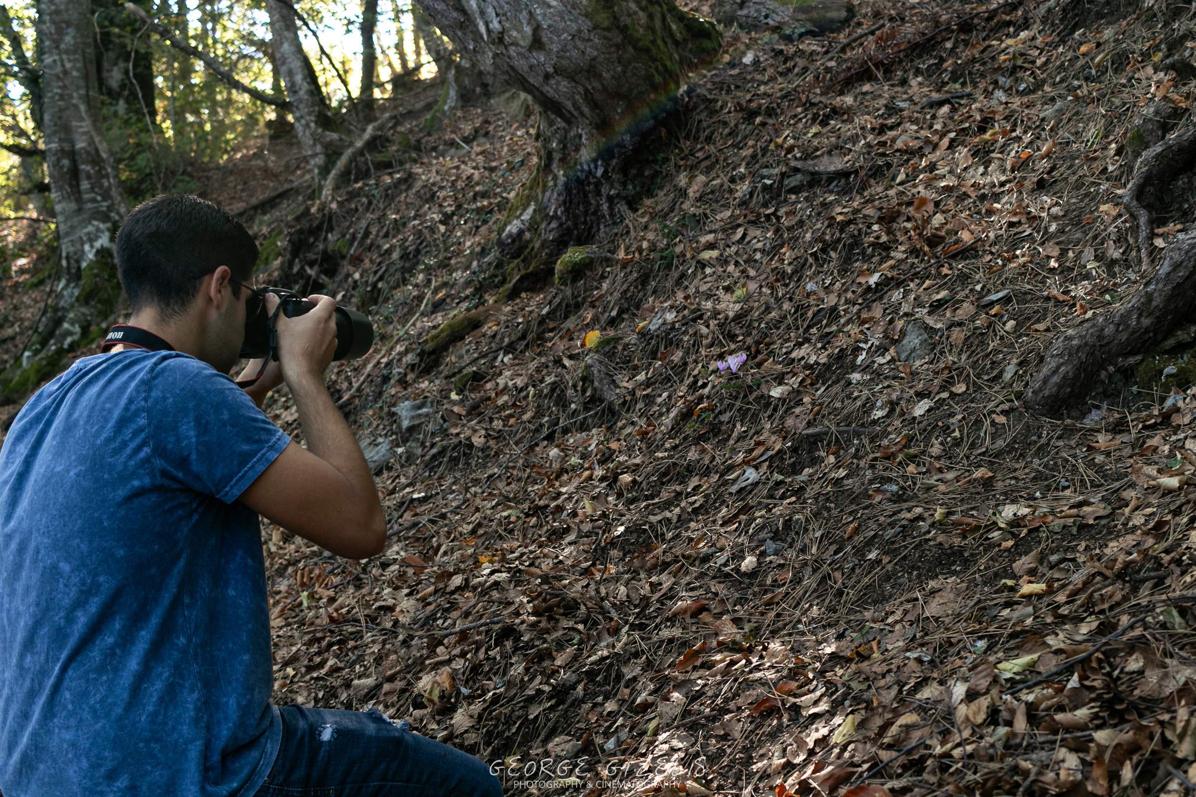 Christos photographing a cyclamen flower along the Stavros–Mana forest trail on Mount Olympus, Greece